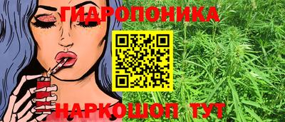 гашиш Будённовск