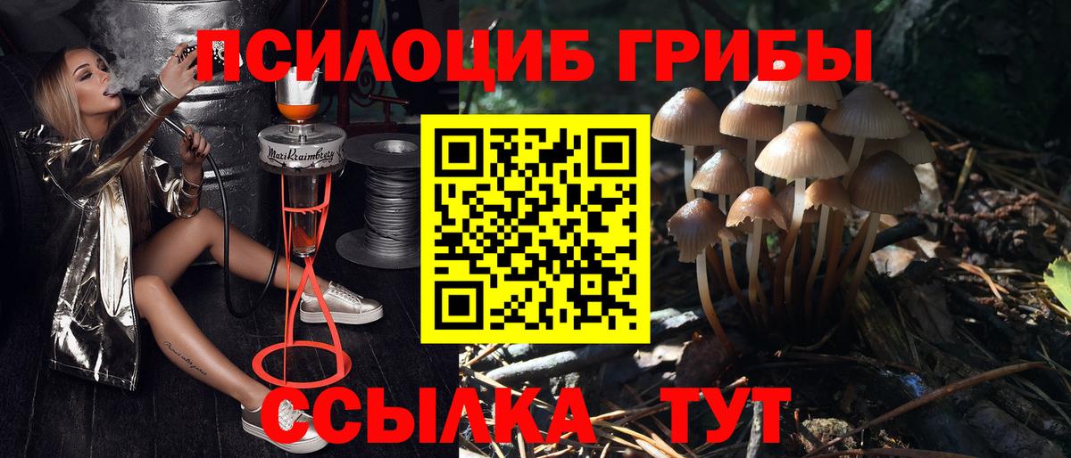 Псилоцибиновые грибы Magic Shrooms  Вход с VPN  Чита 